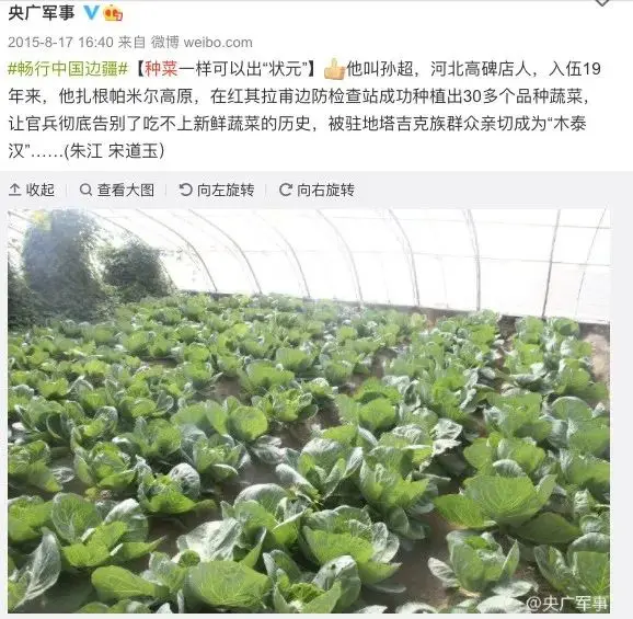 在种菜这件事上，中国人可能真的有点天赋