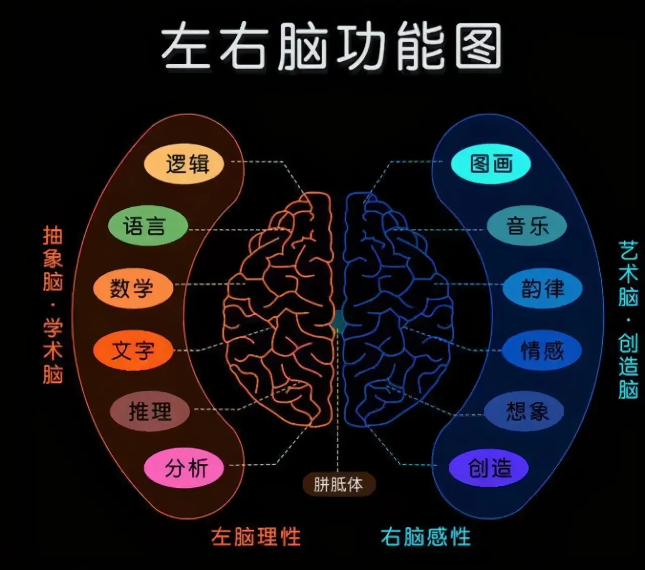 左撇子的孩子更聪明？抓住大脑发育高峰期，左右脑一起开发会更好