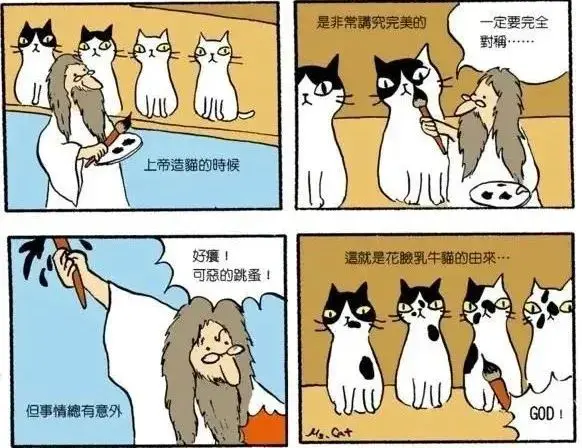 奶牛这种猫怎么回事啊！丑上热搜！