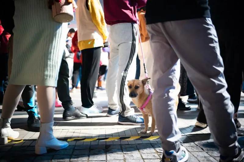 非常一年｜上观新闻摄影记者2020自选集·董天晔