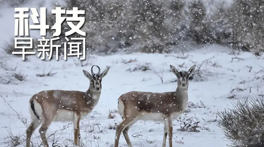 长征八号运载火箭首飞成功；南极洲首现新冠病例丨科技早新闻