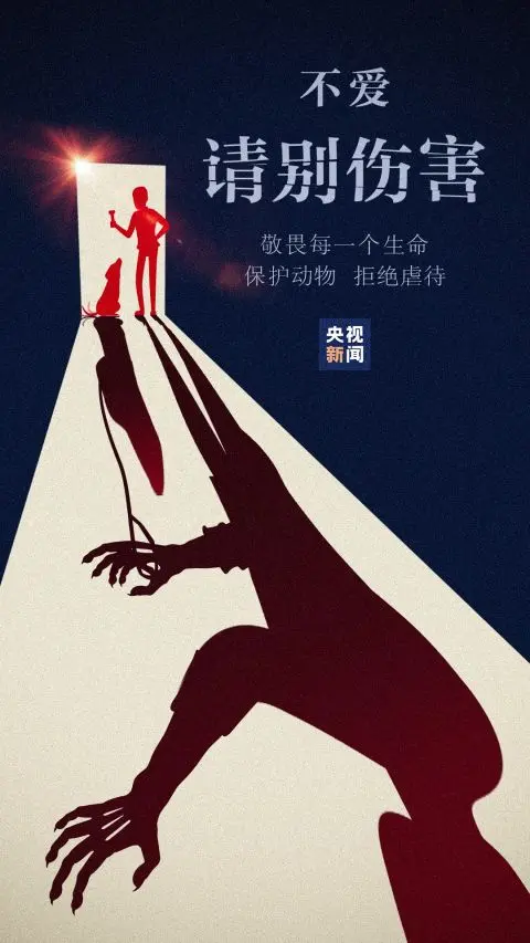 该说再见了，才发现我们一起经历了这么多……
