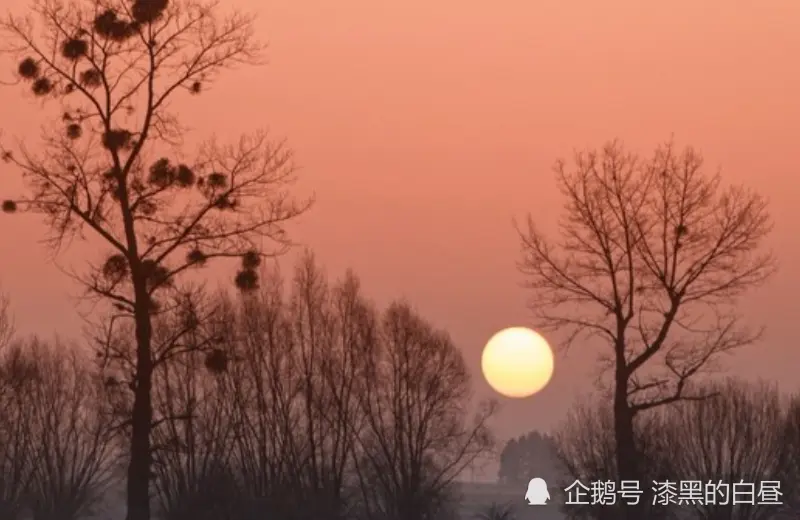 12月下旬开始，得财得势，喜事成堆，鸿运缠身的生肖