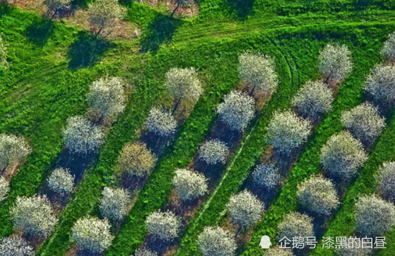 12月下旬开始，命里带财，运势极旺，大赚一笔的生肖