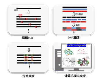 实验室“迷你版”达尔文进化——定向进化