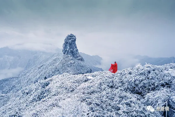 美爆！梵净山10年的雪景都在这里！哪一年最惊艳？