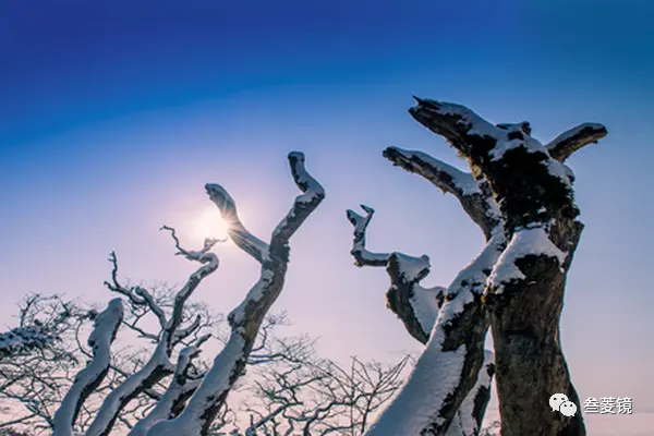 美爆！梵净山10年的雪景都在这里！哪一年最惊艳？