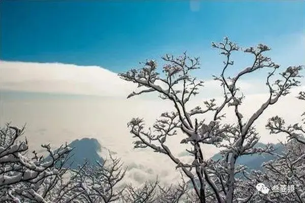 美爆！梵净山10年的雪景都在这里！哪一年最惊艳？