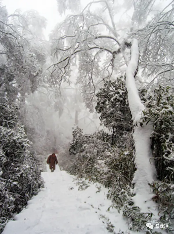 美爆！梵净山10年的雪景都在这里！哪一年最惊艳？