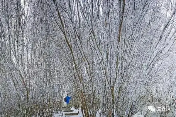 美爆！梵净山10年的雪景都在这里！哪一年最惊艳？