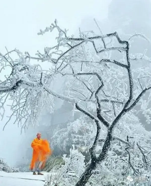 美爆！梵净山10年的雪景都在这里！哪一年最惊艳？