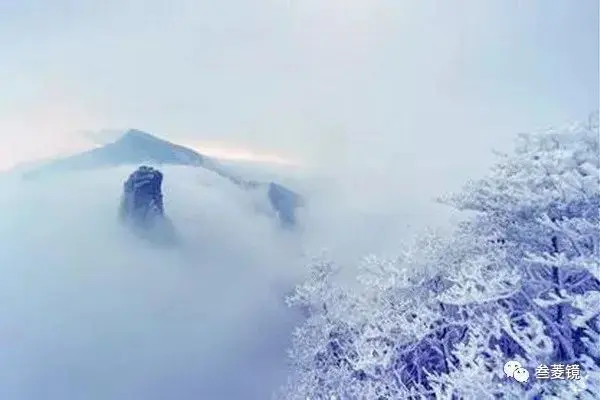 美爆！梵净山10年的雪景都在这里！哪一年最惊艳？