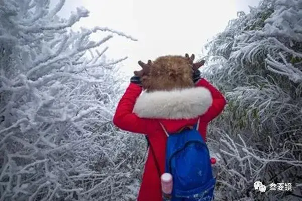 美爆！梵净山10年的雪景都在这里！哪一年最惊艳？