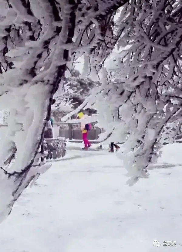 美爆！梵净山10年的雪景都在这里！哪一年最惊艳？