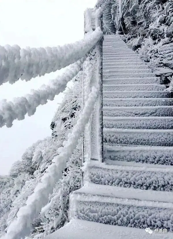 美爆！梵净山10年的雪景都在这里！哪一年最惊艳？