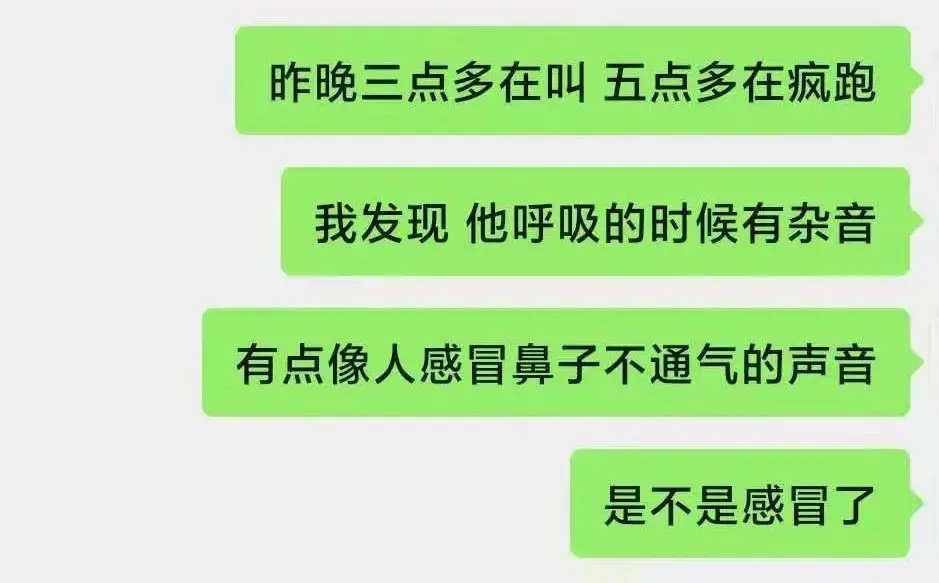 不到万不得已，千万不能把猫咪交给爸爸养！