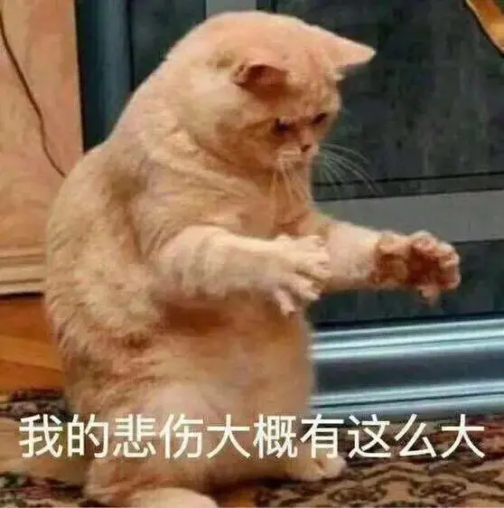 不到万不得已，千万不能把猫咪交给爸爸养！