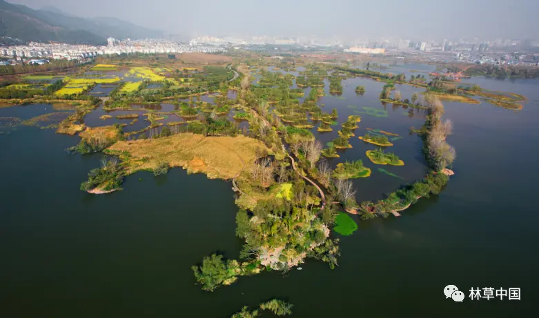 “十三五”绿色发展成就｜我国新增湿地面积300多万亩，湿地保护率达到50％以上