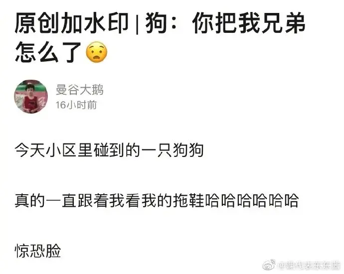 “气消了吗？”：分手半年后，前男友发了条信息，没想到……哈哈