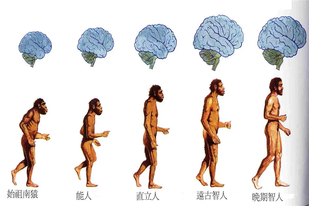 人类是如何诞生的？海奥华预言或说出一切，人类该不该相信？