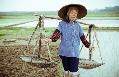 人老了之后，你就会发现，拥有独生子女的老人，晚年过得都很幸福