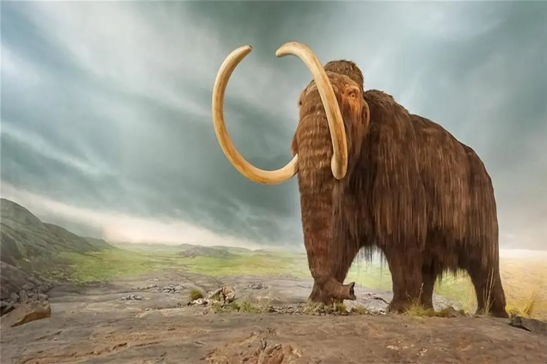 北极发现远古动物，距今已有57000年，科学家提醒人类要注意！