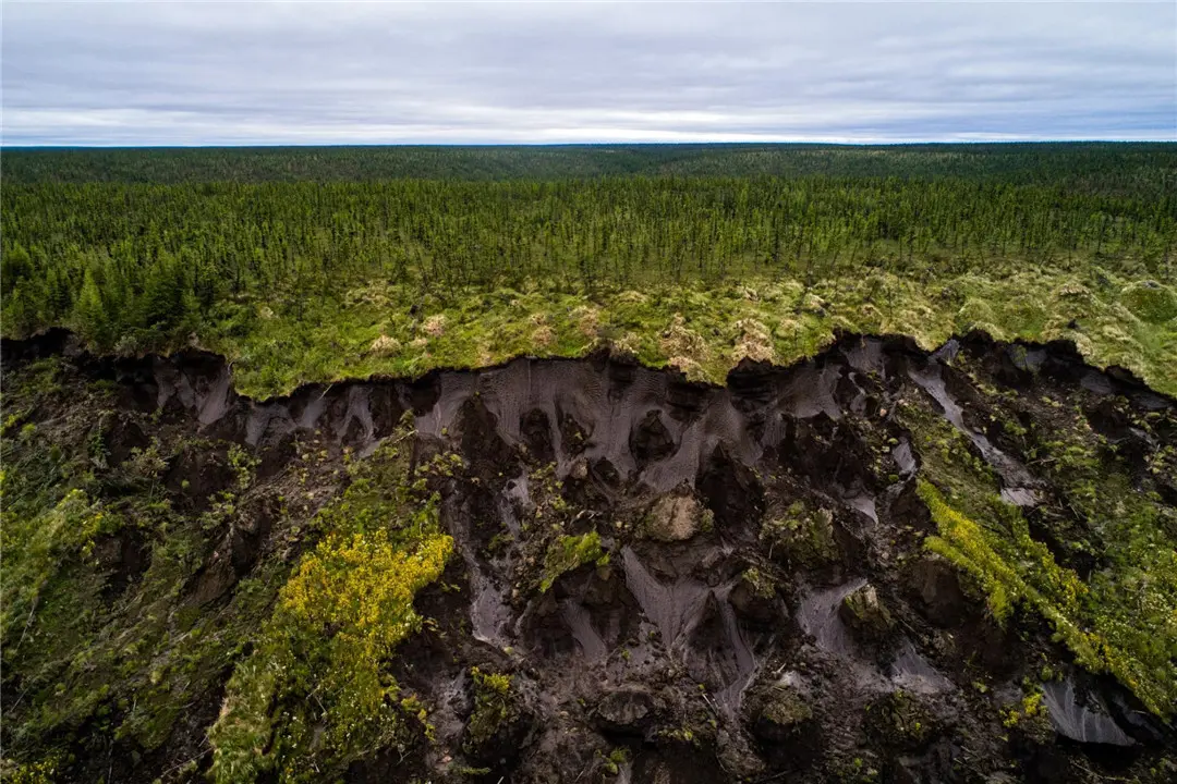 北极发现远古动物，距今已有57000年，科学家提醒人类要注意！