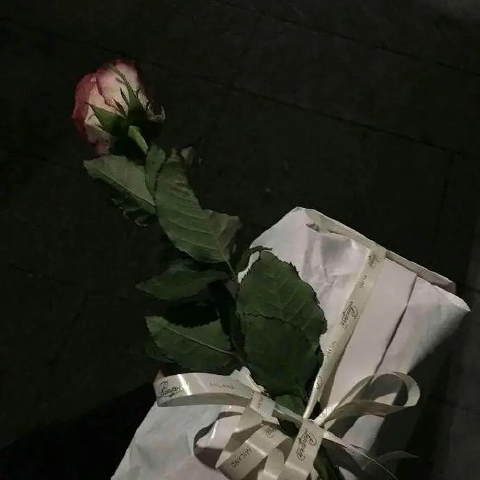 温柔到骨子里的神仙说说文案