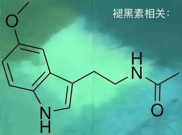 晚安故事｜道一句特别的晚安