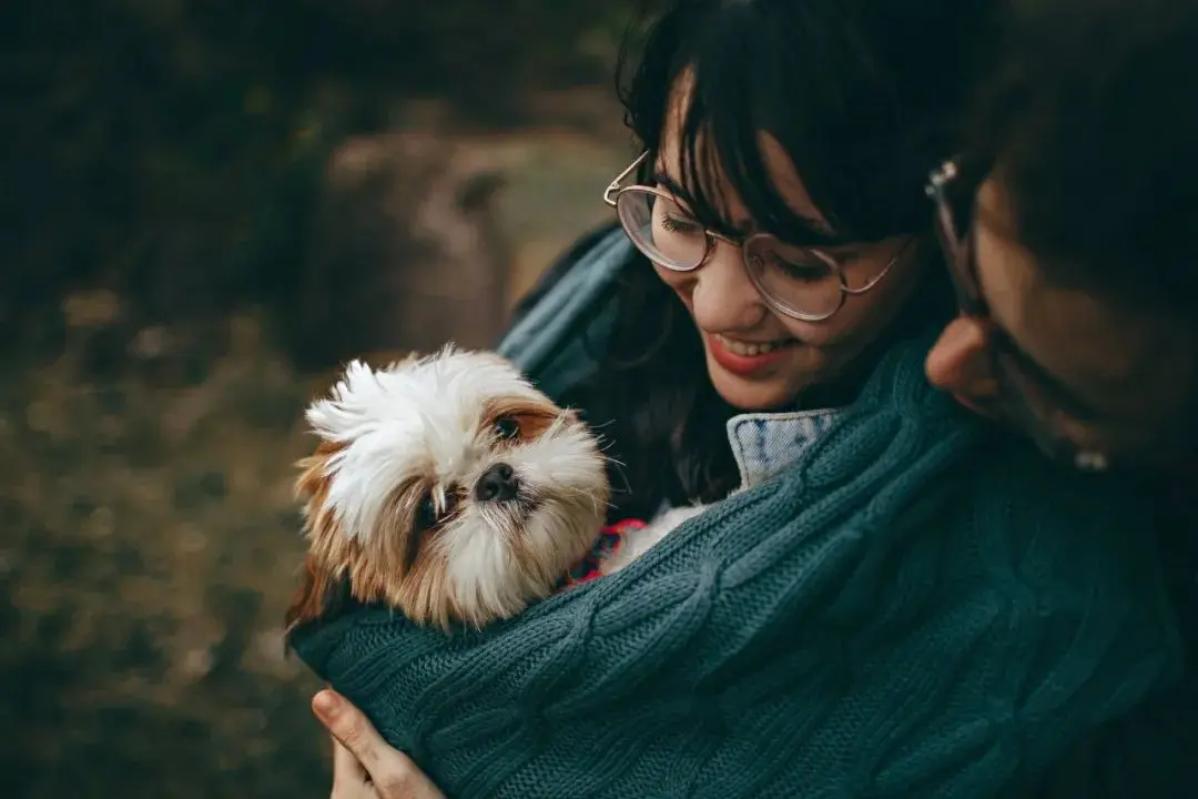 感觉不合适还想挽回怎么办