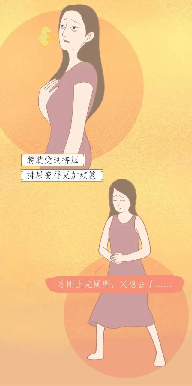 女人怀孕全过程：生娃绝不是件轻飘飘的事