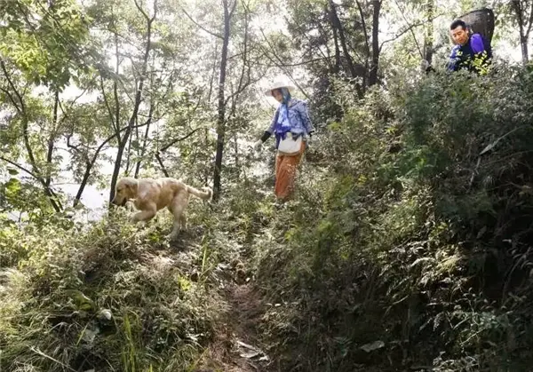 终南山隐士：万人上山的背后是逃避工作，然而一场大雪就原形毕露