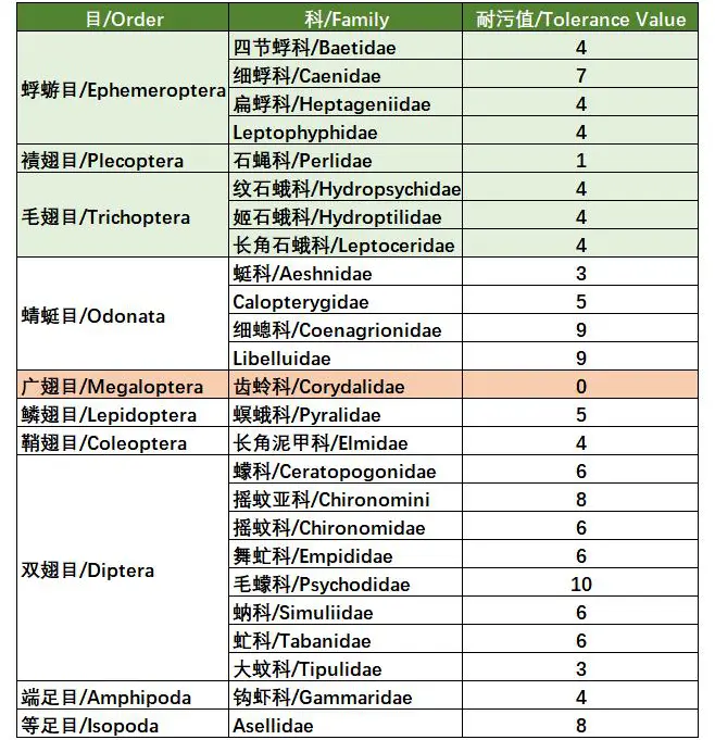 水里有虫好脏？NO，这些虫子越多说明水质越好！