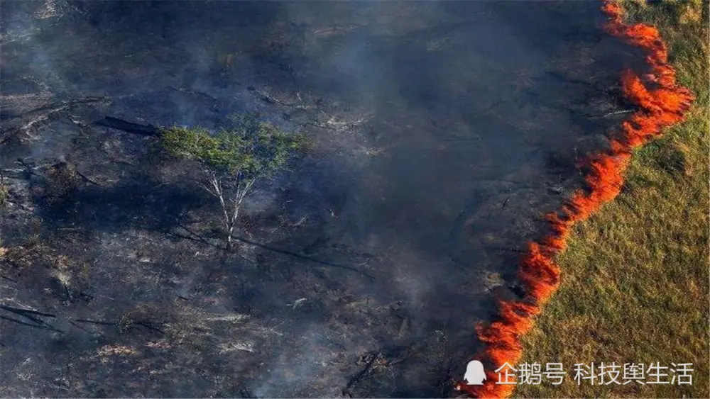 气温巨变还未消停，又一灾难接连袭来，这是地球在自救吗？