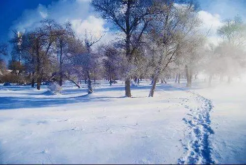 读睡诗词｜冷芳无惧雪霜欺，更有暗香弥漫到人衣