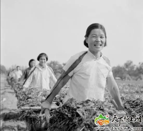 為什麼越來越多的人說，他是中國近代最偉大的人？