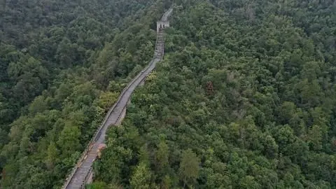 假文物成真景点？山寨文物该管管了！