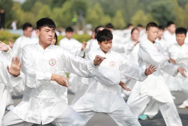 太极拳申遗成功，专家：健身功能将引起全世界重视