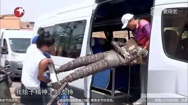 旅行纪念品这坑不分国籍，沈腾在摩洛哥分享过类似的悲伤