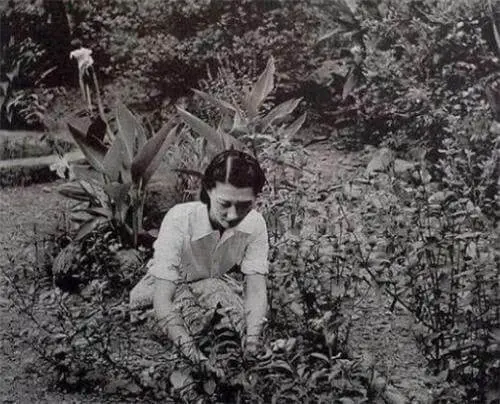 张学良亲手拍摄赵四小姐的老照片，像极了现代的一个女明星