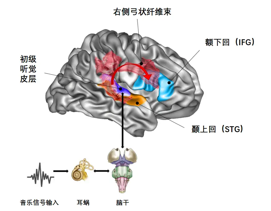 唱歌跑调该不该怨父母？