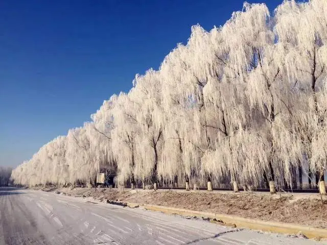 读睡诗词｜芳心只待痴情客，一点红唇吻镜台