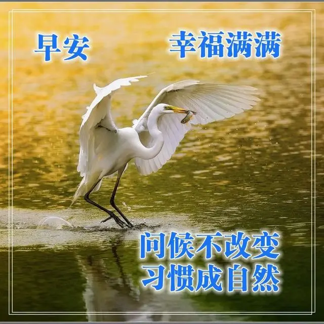 气质阳光的早安问候语录 温暖人心的清晨祝福图片