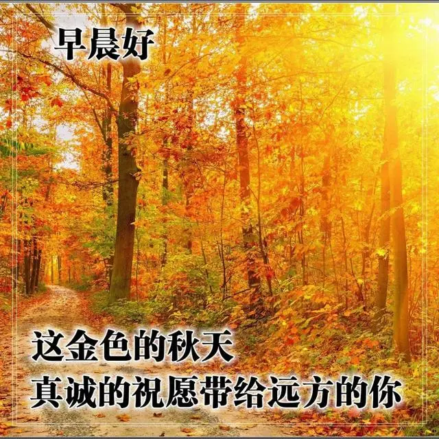 气质阳光的早安问候语录 温暖人心的清晨祝福图片