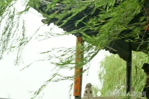 解读王之涣《送别》：连诗仙李白都欣赏的诗，也模仿做了一首