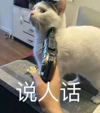 被一致差评的无毛猫，真的有那么不堪？养过的人才知道，真香