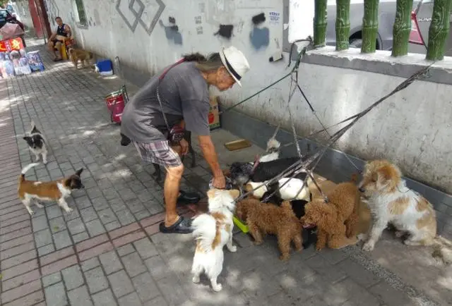 香港郑六三：继承千万遗产，几年便挥霍一空，今与狗为伴街头流浪