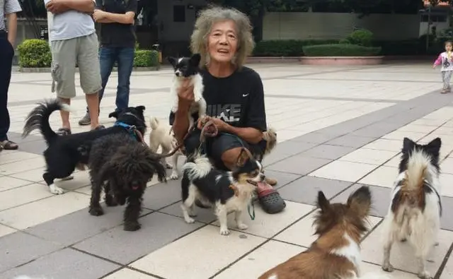 香港郑六三：继承千万遗产，几年便挥霍一空，今与狗为伴街头流浪