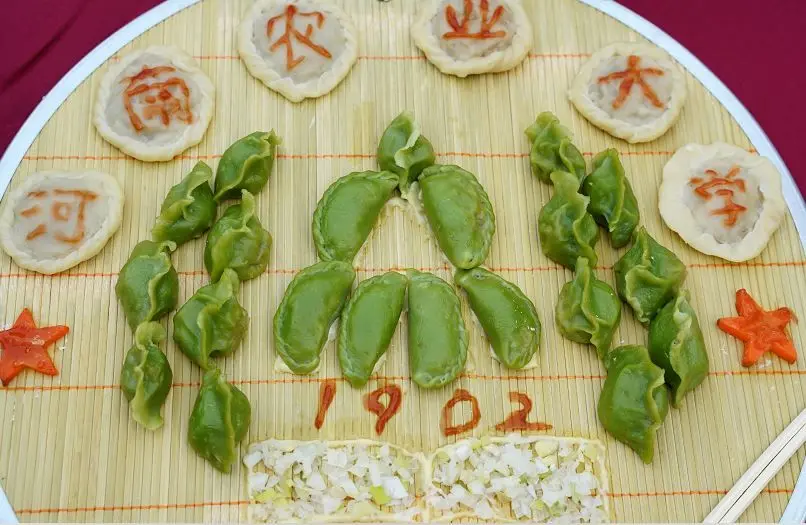Creative dumplings by college students