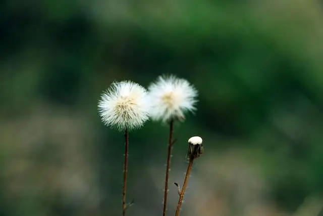 据说，你身边的人，会影响你的运气